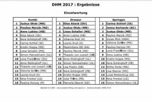 DHM2017_Einzel