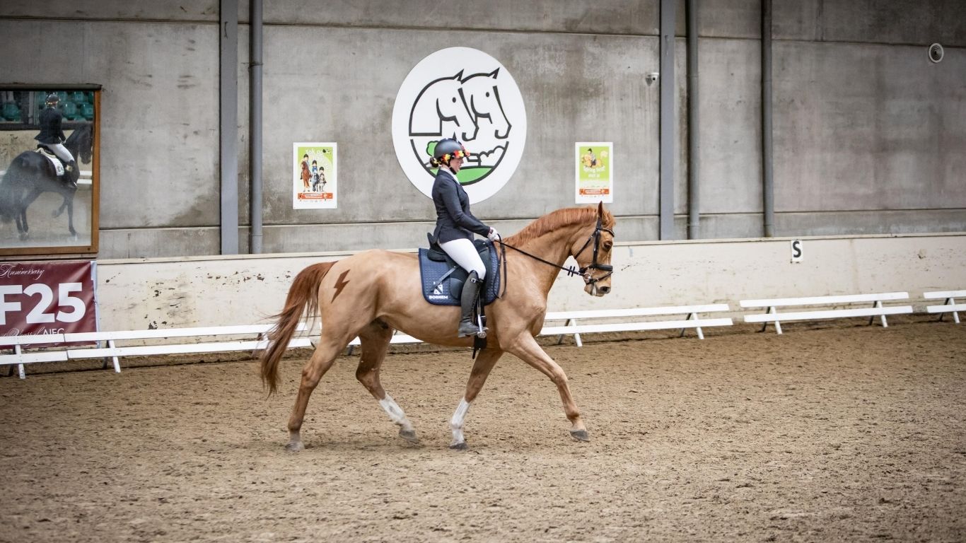 Jahreswechsel bei den World Finals Belgien