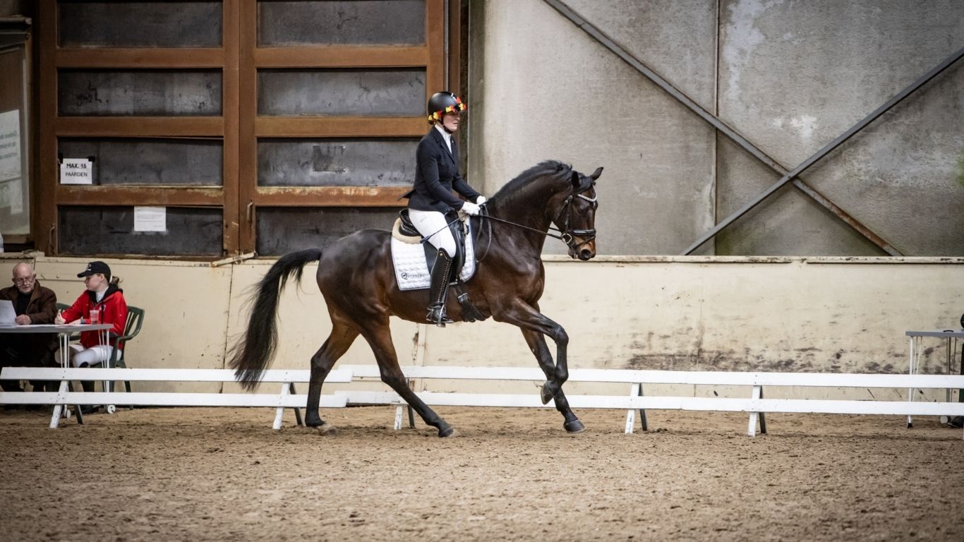 Jahreswechsel bei den World Finals Belgien