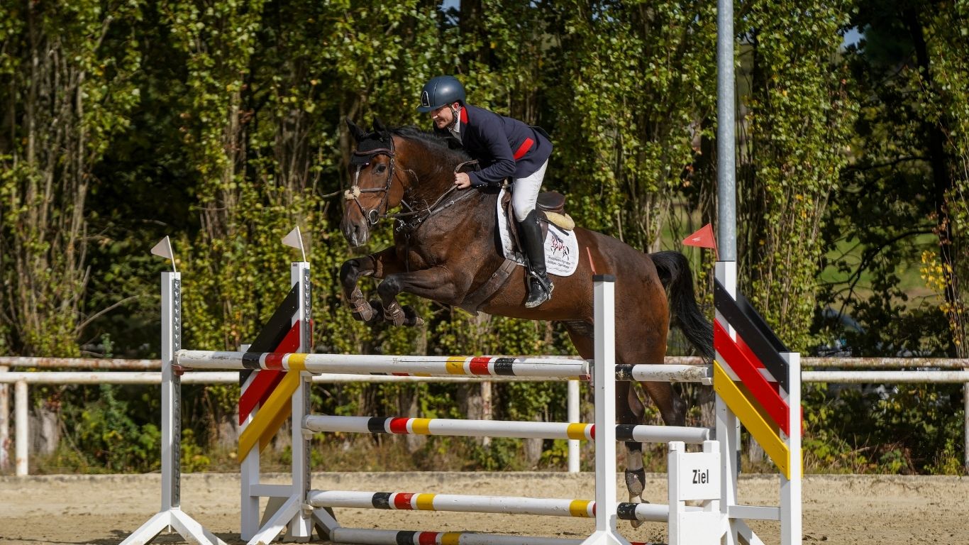 DAR Turnier 2026 – Austausch unter Generation